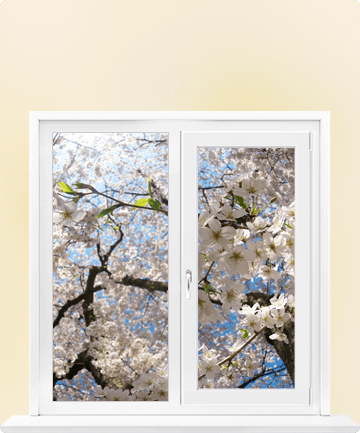 window-inner1